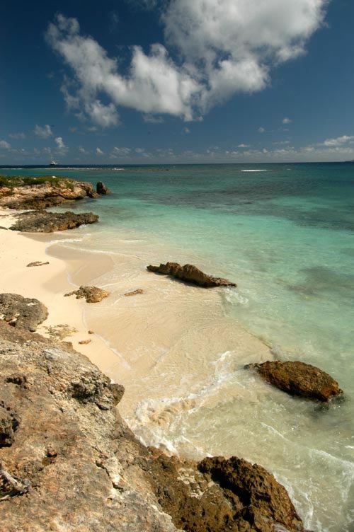 Fletch's Cove photo 15