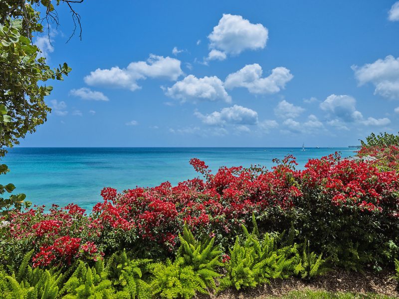 Seaclusion photo 32