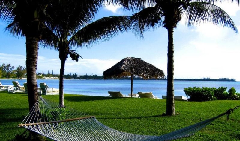 Serendip Cove photo 7