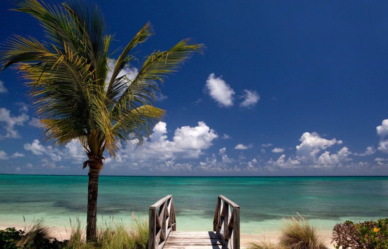 Pond Bay Allamanda at Jumby Bay photo 15