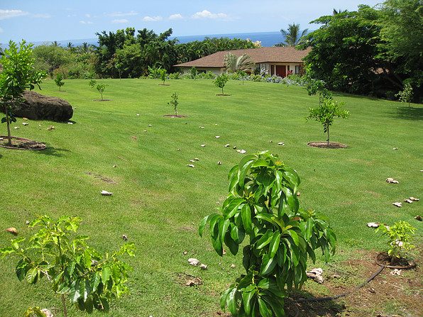 Makena Aloha Estate photo 18