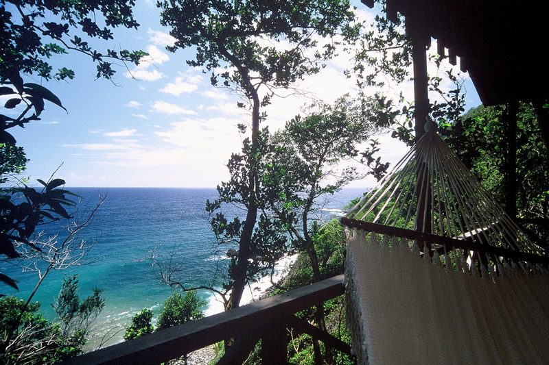 Jungle Bay photo 5