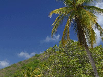 Sea Grape Cottage in Little Thatch Island, Tortola