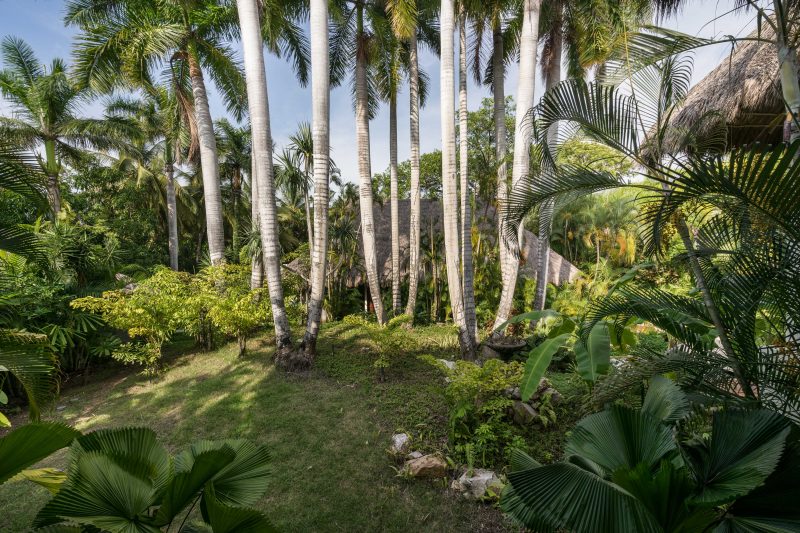 Casa Amore photo 44
