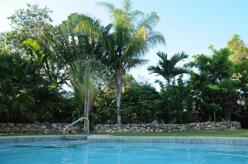 Linga-Awile Cottage on the Beach photo 6