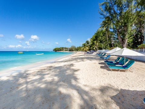 The Palms at Old Trees in Paynes Bay, Barbados