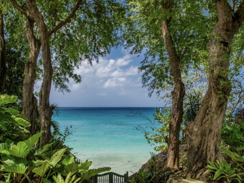 Maddox in St. James, Barbados