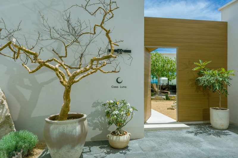Casa Luna photo 24