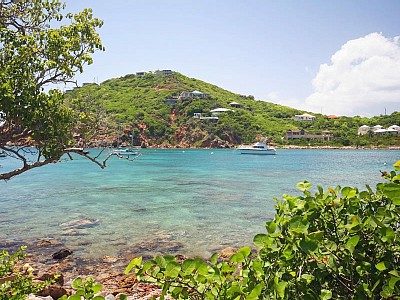 Beach Walk in Chocolate Hole, St. John