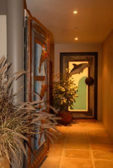 Dolphin House photo 9